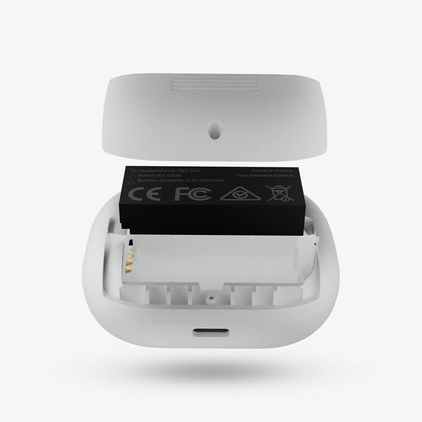 Dual Detachable Batteries